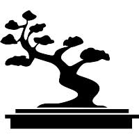 Bonsai | Jardin Japones
